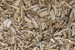 biomass boilers Langaller